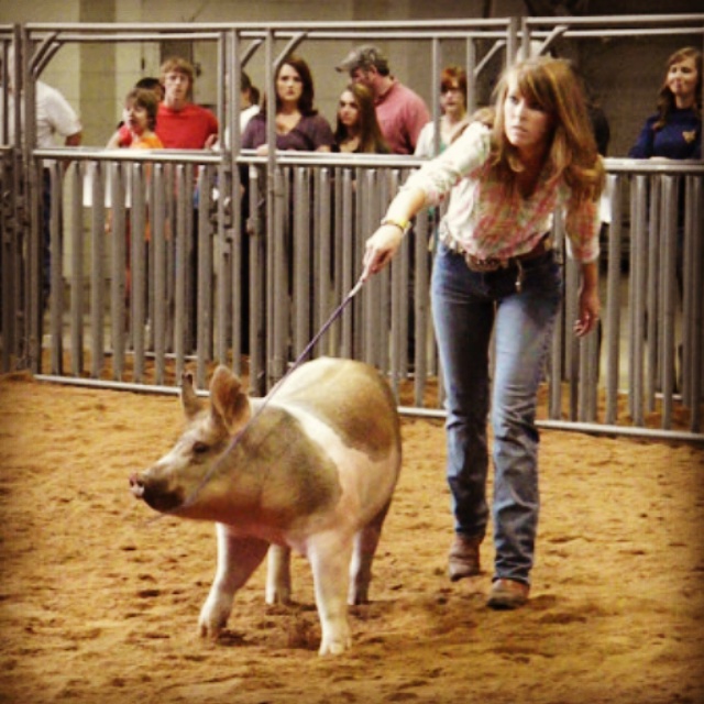 IMG_20141218_010256[1]