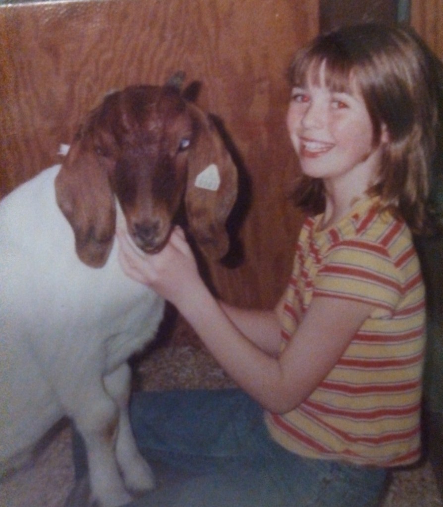 IMG_20141218_244618_636