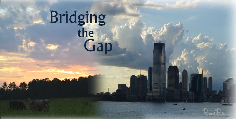 bridging the gap