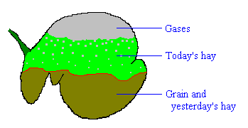 Photo Cred: Colorodo State