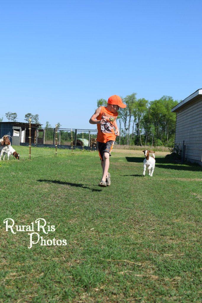 If we let Miracle out, she likes to run around with the boys.