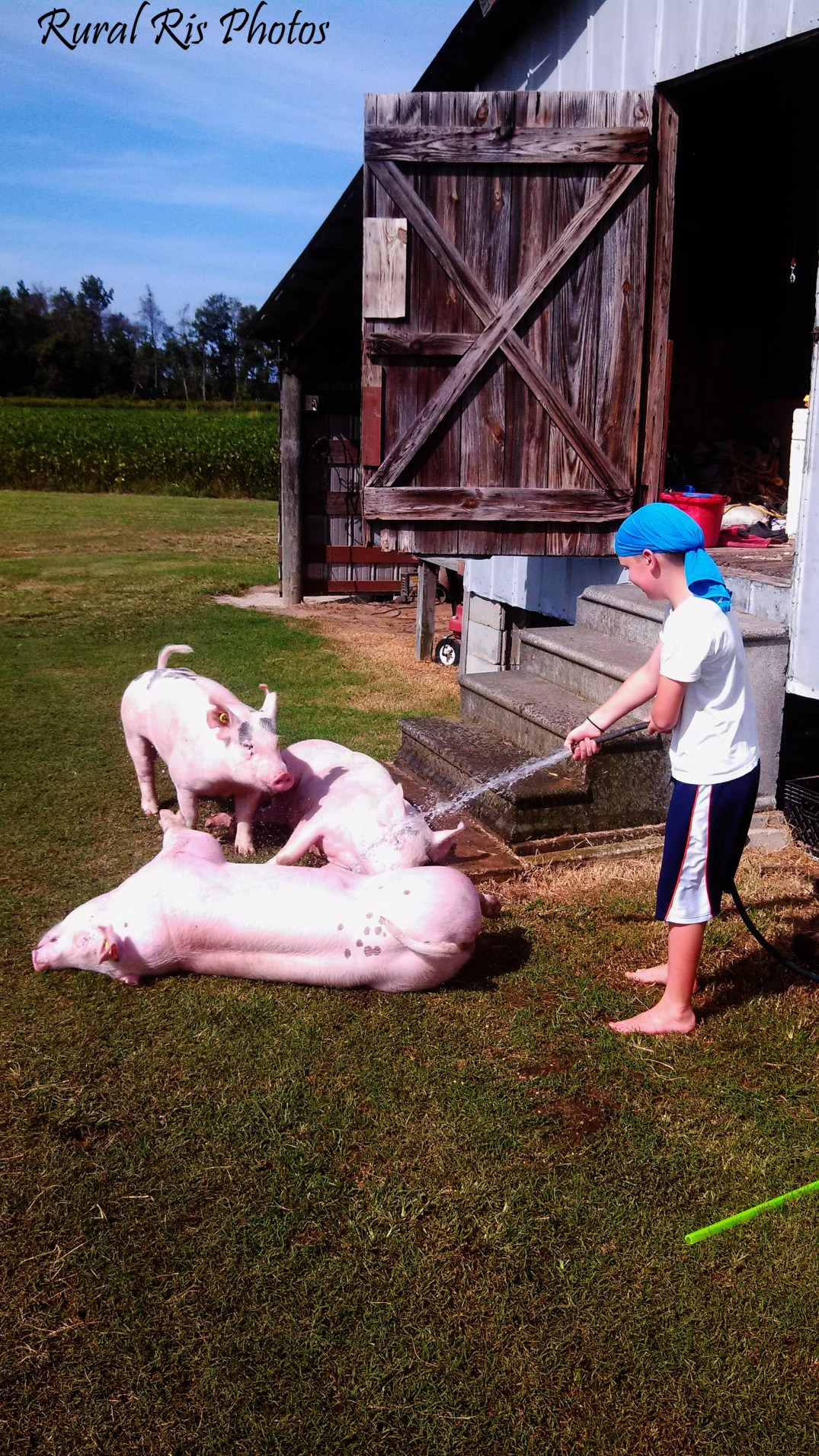 IMG_20140920_152552_958