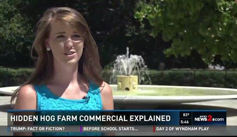 14102239_638999876274864_5340313845982179213_n