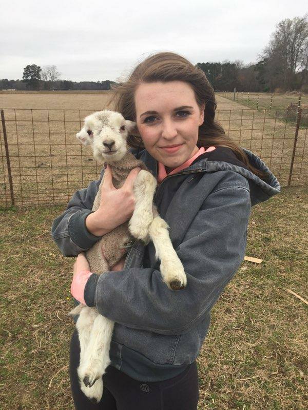 29425178_2378493722164423_1107337936192158973_n